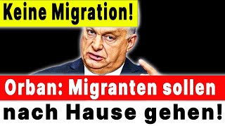 🛑 Orbán hat sich offen gegen die EU AUSGESPROCHEN: MIGRANTEN MÜSSEN RAUS!