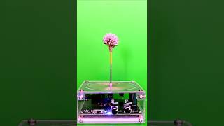 Mario- Tesla Coil Music vs a Flower #teslacoil #plasma #shorts