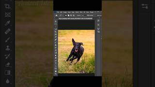 How to remove any objects from photo by Photoshop cc