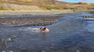 Frozen dip at Pronga river, Thorsmork, Iceland