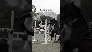 Минута молчание тем, кто погиб в кс. #fyr #рекомендации #equestrian #лошади #хочуврек хочув