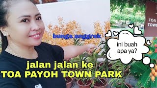 JALAN JALAN KETAMAN// TOAPAYOH TOWN#singapore  PARK ,LIHAT BUAH TAK DI KENAL