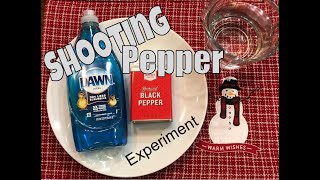 Shooting Pepper Science Experiment (Surface tension changes)