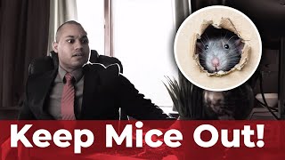 Don't Let Mice Invade Your Home Office - Contact the Extermination Experts at Viking Pest Control!