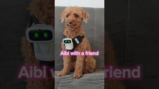 Aibi and dog #aibi #robot #livingai #dog #puppy #aibipocketrobot #music #funny #short #fun #singer