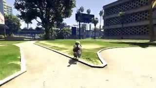 gta v poodle gameplay