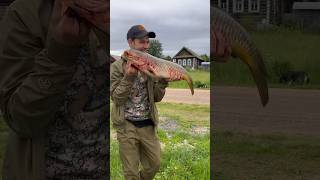 Реакция тещи на огромного карпа #fishing #рыбалка