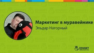 Курс маркетинга интернет-проектов «Маркетинг в муравейнике»