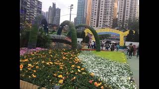 Hong Kong flower show...