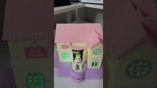 🐕🐕🐕 DOG HOUSE MONEY SAVINGS COIN BANK!! #shortvideo #viral #shorts #shortvideo #satisfying