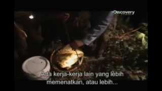 Eye On Malaysia - Honey Hunters