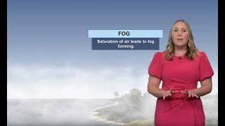 Weather Wise: Fog