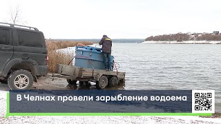 В Челнах провели зарыбление водоема