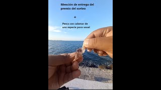 Mencion de entrega del premio de sorteo + pesca de orilla con calamar