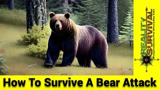 How To Survive A Bear Attack