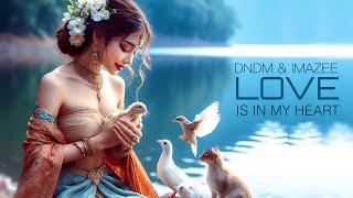 DNDM & IMAZEE - Love is in MY Heart