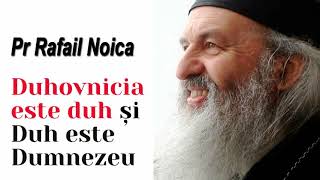 Pr Rafail Noica - Duhovnicia este duh și Duh este Dumnezeu