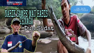 MANCING SIDAT MONSTER BERHASIL DI EVAKUASI DARI SUNGAI BEKAS DI SETRUM