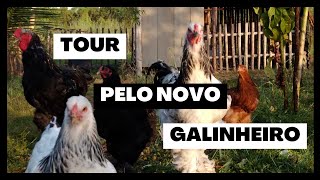 NOSSO NOVO GALINHEIRO • BRAHMA LIGHT E BLACK