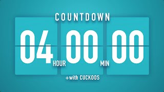 4 Hours Countdown Flip Clock Timer / Cuckoos 🐦