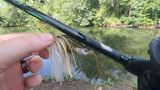 Building Confidence with New Baits (July 2021 Compilation)