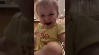 cute baby this video got 23 likes on tiktok #shorts #cat