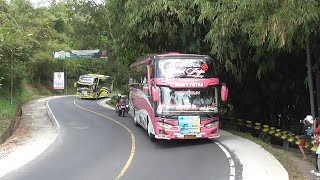 artis bus telolet corongnya ada yg unik