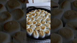 Cast Iron S'mores Dip #shorts