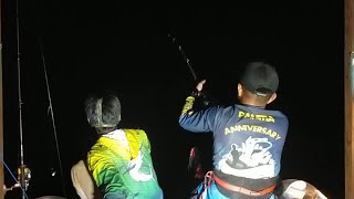 Mancing malam pakai lampu, strike ikan tuna gigi anjing