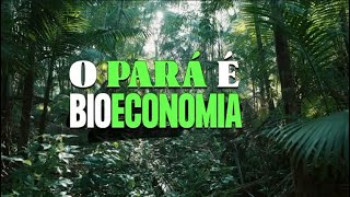 Pará é bioeconomia