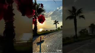 Mehnat lagti hai khud ki pahechan bana ne me || #shorts_feed #viralvideo #videos #viralvideo