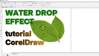 MEMBUAT EFEK TETESAN AIR MENGGUNAKAN CorelDraw - Water Drop Effect CorelDraw Tutorial