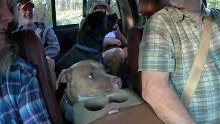 Teddy Scolds Daddy after Waiting in the Truck