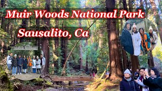 Muir Woods National Park l Sausalito City California