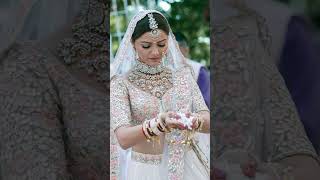 Rubina Dilaik beautiful wadding pictures #status