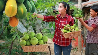 2 chefs collect sweet papaya, enjoy braised pork, Pick seedless guava and eat | Daily lifestyle