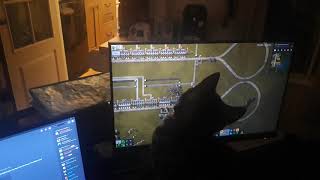 Cats in Factorio