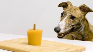 Homemade Dog Ice Lolly | Made in Battersea