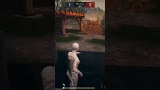 PUBG mobile_ wait for end