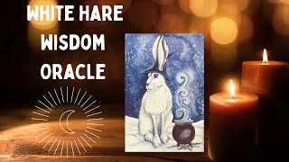 White Hare Wisdom Oracle ~ Indie Deck Walkthrough