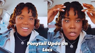 Ponytail Updo on Locs | Locs Routine & Locs Style