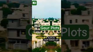 #plot #plots #plotforsale #yamuna #authority #sale #dream #views #video #house #park #sasta #nature