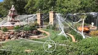 April Fool's Day 2018   Spider Web prank