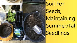 (Video 39) Sowing Seeds For Transplanting & Maintaining Seedlings In Summer | Starting Fall Seeds.