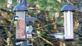 Diffusion en direct de Jardiniers partageurs