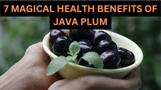 Java Plum Fruits Benefits