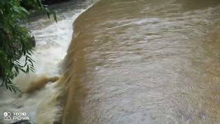 Stream flowing over the bridge