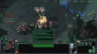 StarCraft 2 пососы на Ladder 4x4