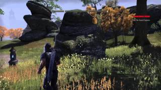 The Elder Scrolls Online: Tamriel Unlimited Beta PS4