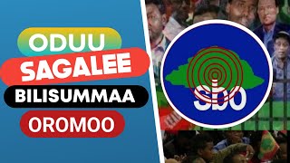 Oduu Sagalee Bilisummaa Oromoo | Oduu Guyyaa Har'aa